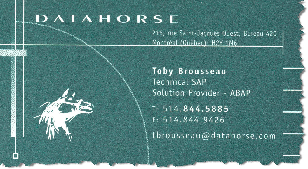 Datahorse - Technical Solution Provider (ABAP)